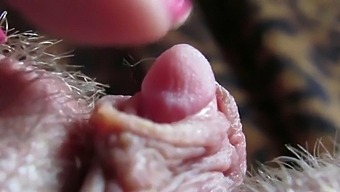 Hd Video Of My Fetish Fucking With Huge Clitoris